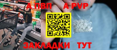 a pvp Новозыбков