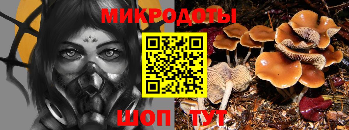 Псилоцибиновые грибы GOLDEN TEACHER Сургут